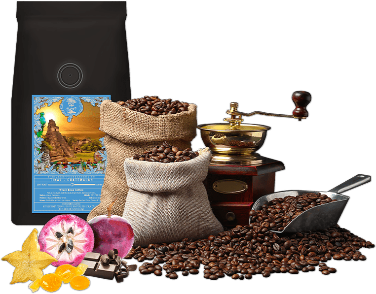Guatemala - Tikal Coffee